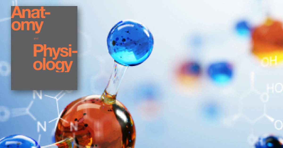 Key Terms Related to The Chemical Level of Organization
