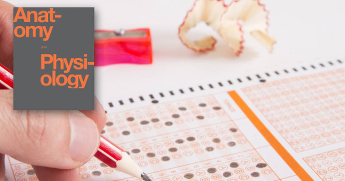 Review Questions Related to the Integumentary System
