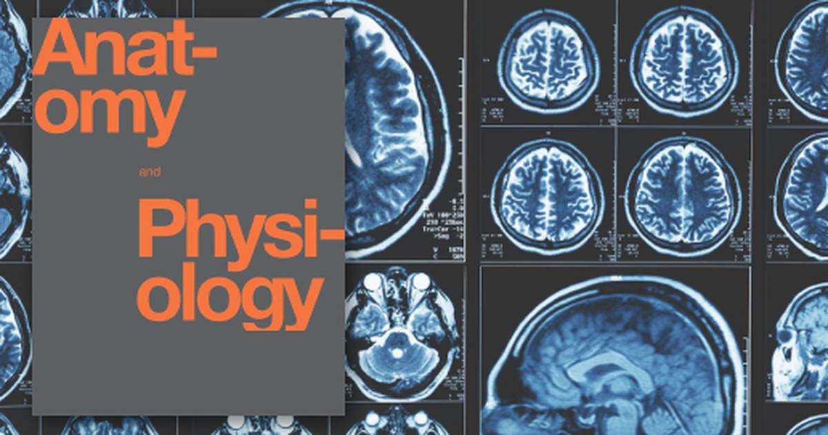 The Neurological Exam