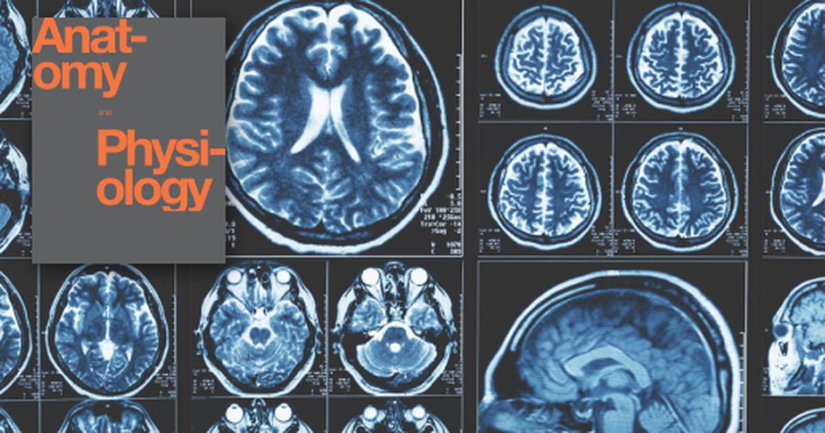 Chapter Review of The Neurological Exam