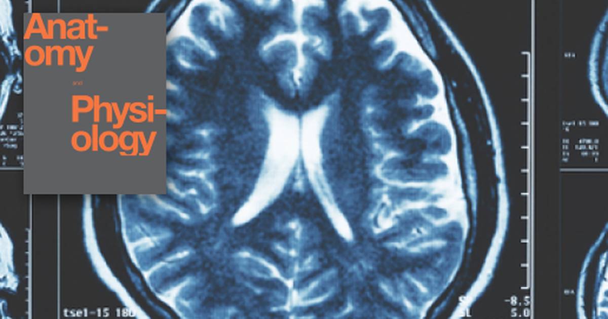 Key Terms Related to The Neurological Exam