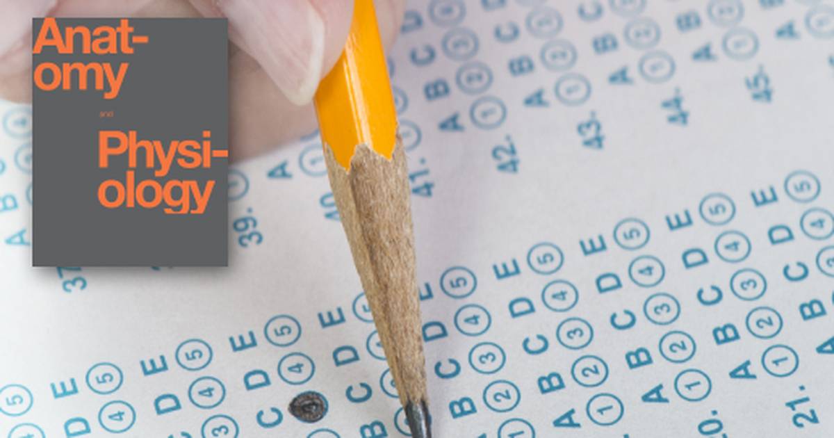 Review Questions