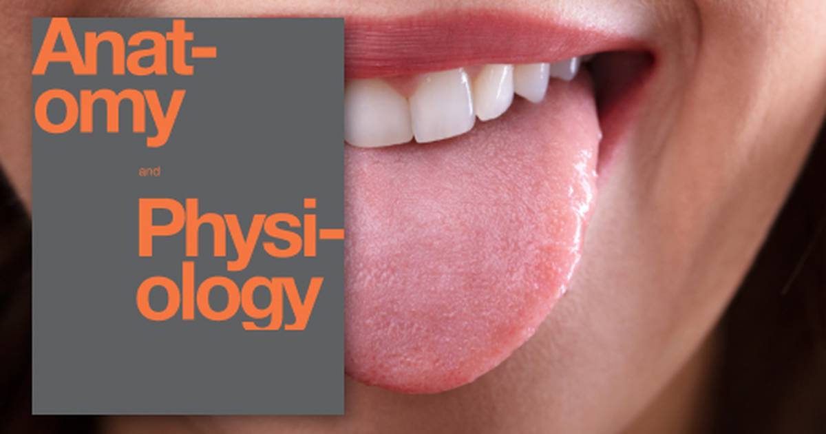 The Somatic Nervous System