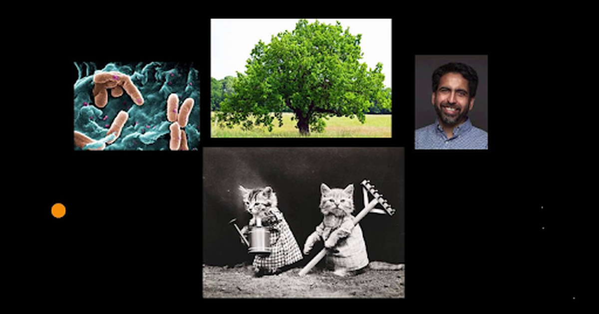 Cellular Evidence of Common Ancestry