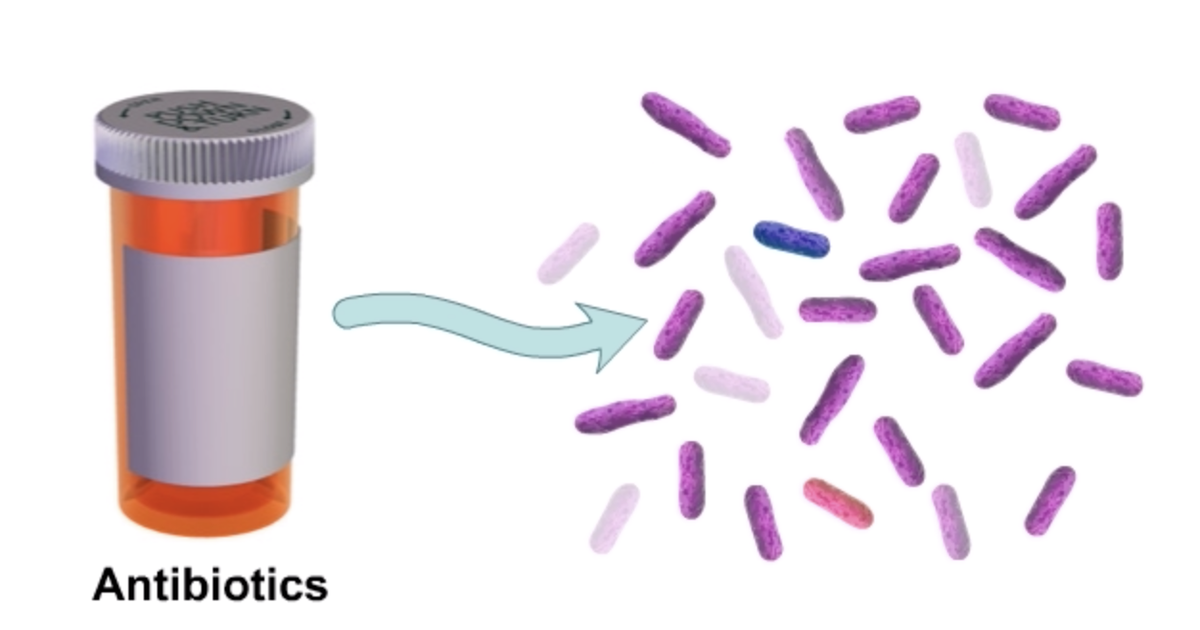Evolution of Antibiotic/Drug Resistance