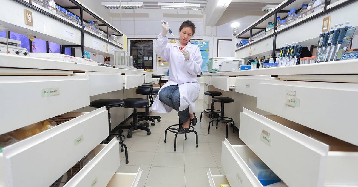 Introduction to Good Lab Citizenship