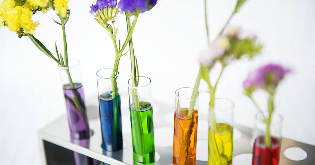 Capillary Action and Water