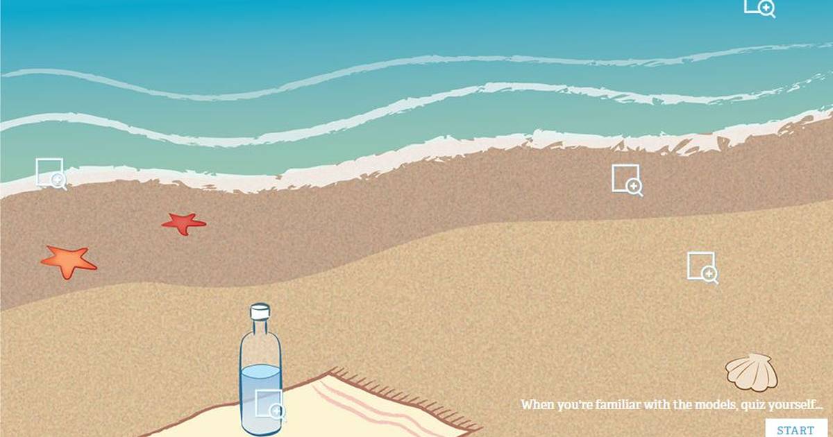 Explore the Beach at the Particulate Level