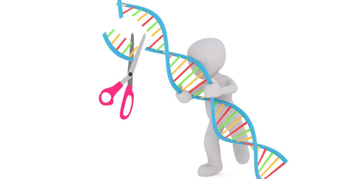 Ethical and Social Implications of CRISPR