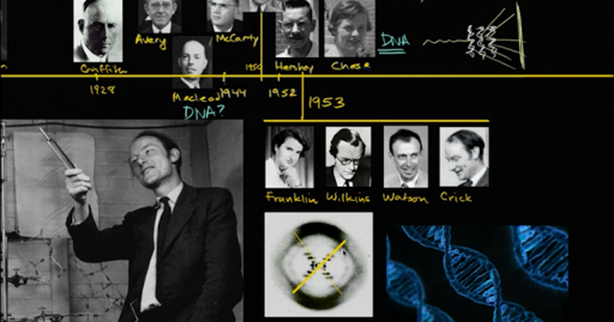 The Discovery of the Double Helix Structure of DNA