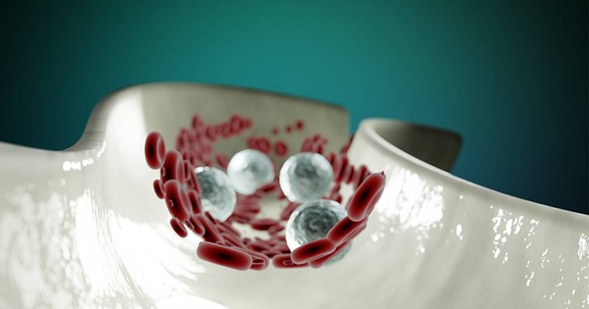 Homeostasis and the Human Body: Describing Homeostasis