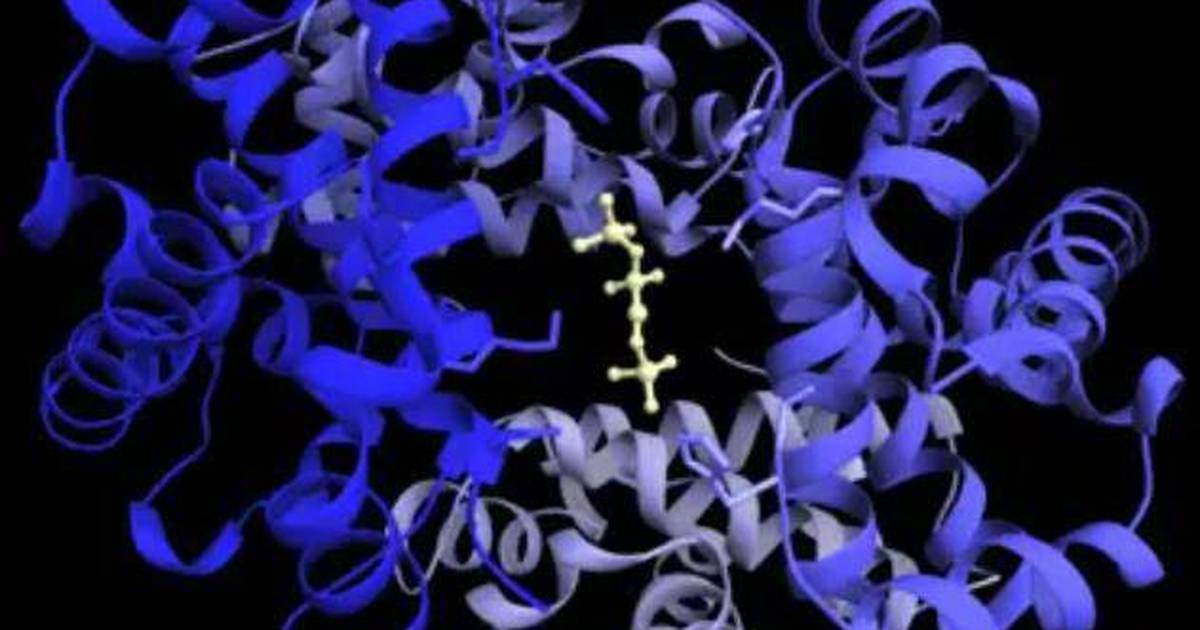 Hemoglobin: Studying the T to R Transition