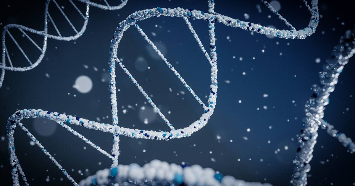 Defining Transcription, Translation and Protein Synthesis