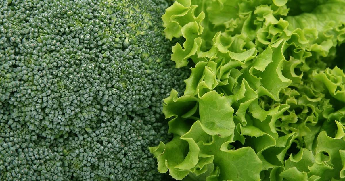 Rate the Bitterness of These Foods