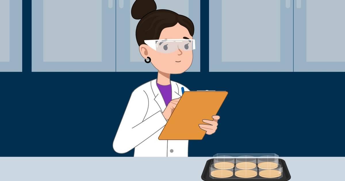 Testing Molecules to Develop New Antibiotics