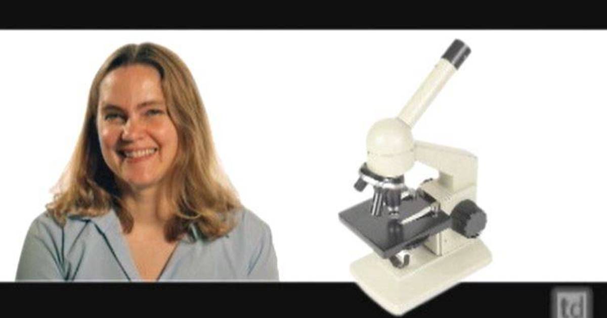 Career Profile: Chemist and Biologist Catherine Drennan