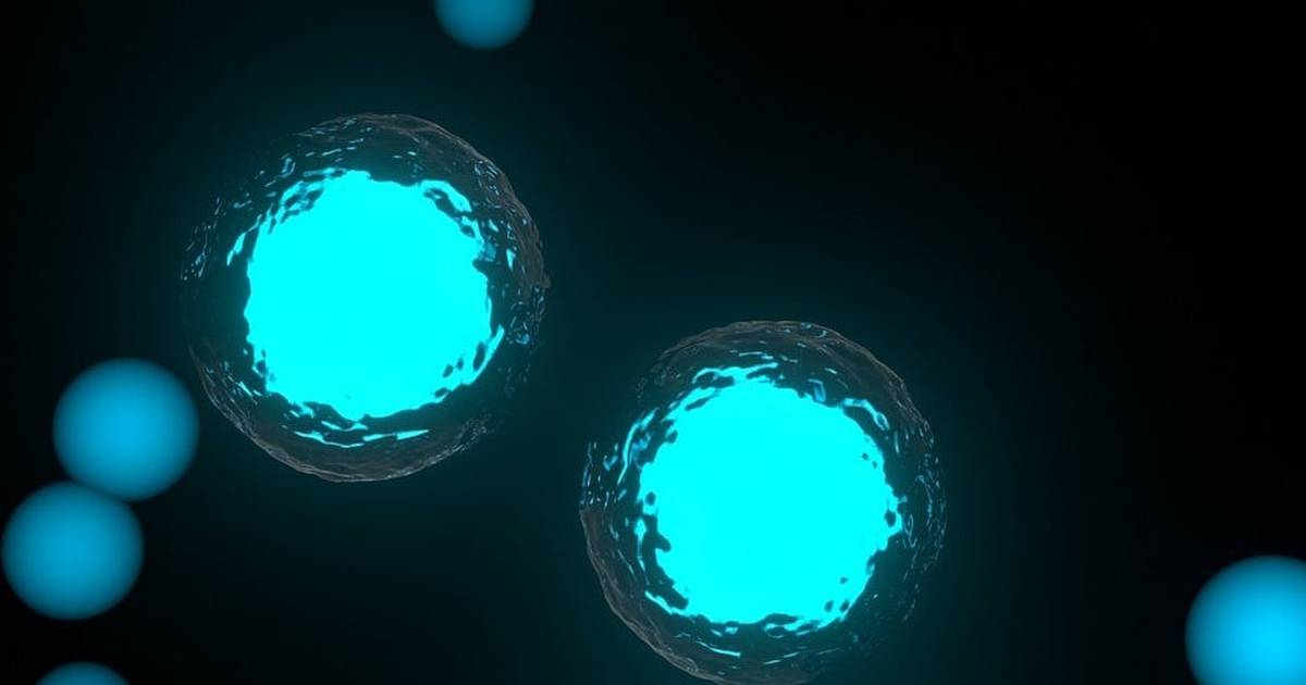 Cell Division and Cell Cycle