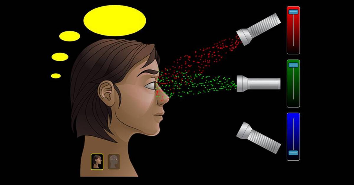 Color Vision