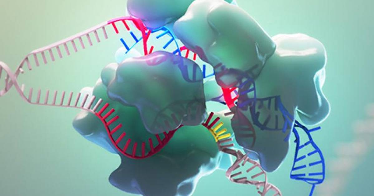CRISPR-Cas9 Mechanism and Applications