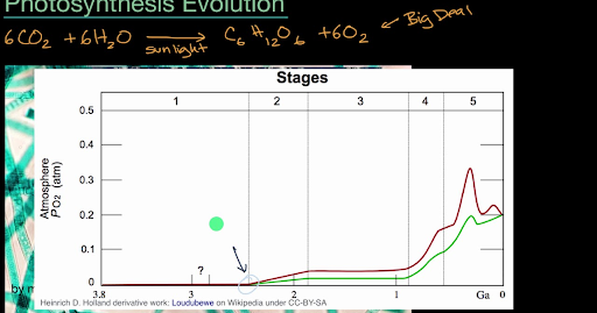 Photosynthesis Evolution