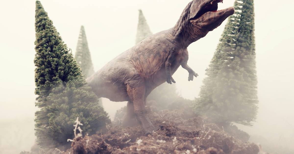 What Happened at Cleveland-Lloyd Dinosaur Quarry?