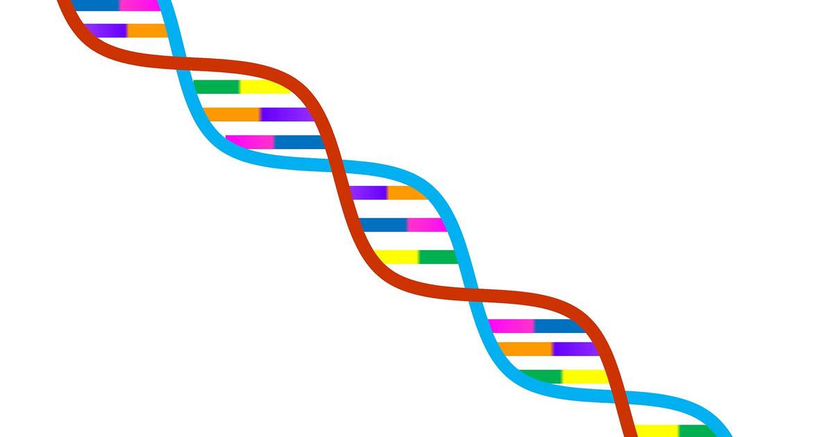 SNPs and Their Impact on Phenotype