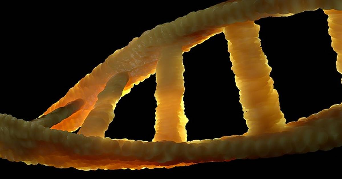 Human Genetic Variation Presentation - Student Version