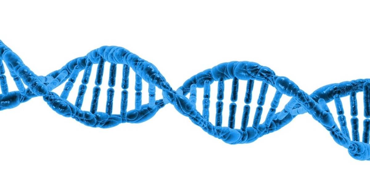 Protein Folding