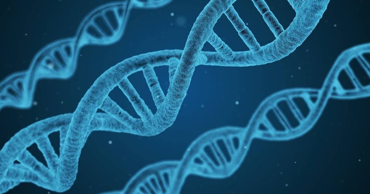 Cellular Processes: Transcription, Translation, and RNA Structure