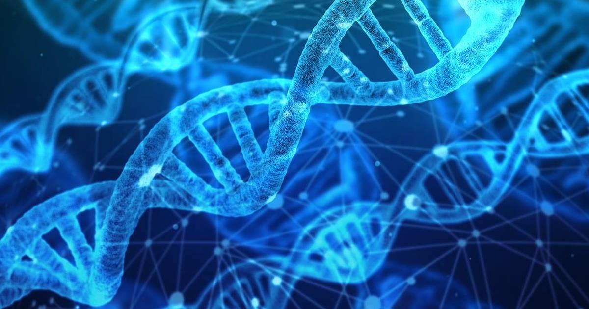 Unlocking the Secrets of Protein Synthesis: From DNA to Proteins