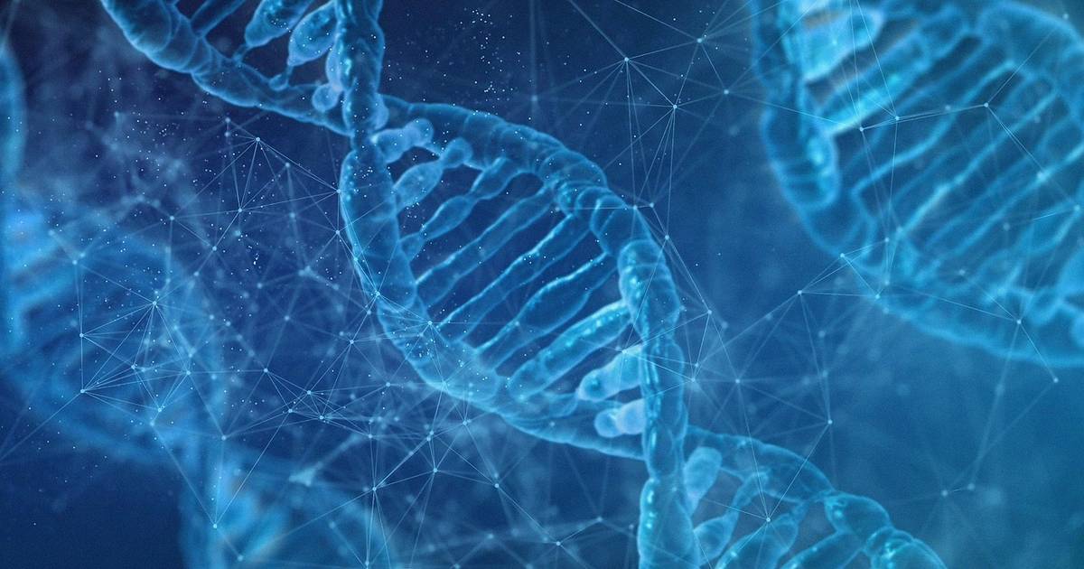 Chromosome