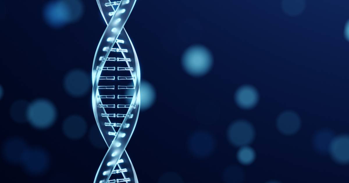 Understanding Translation in Protein Synthesis