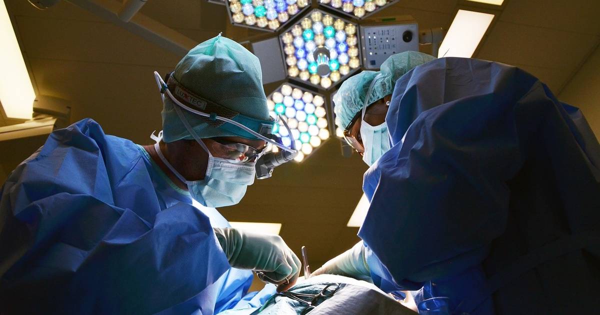 Finding a Match: Disparities in Leukemia