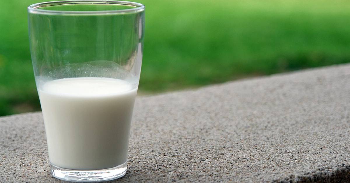 Regulation of the Lactase Gene