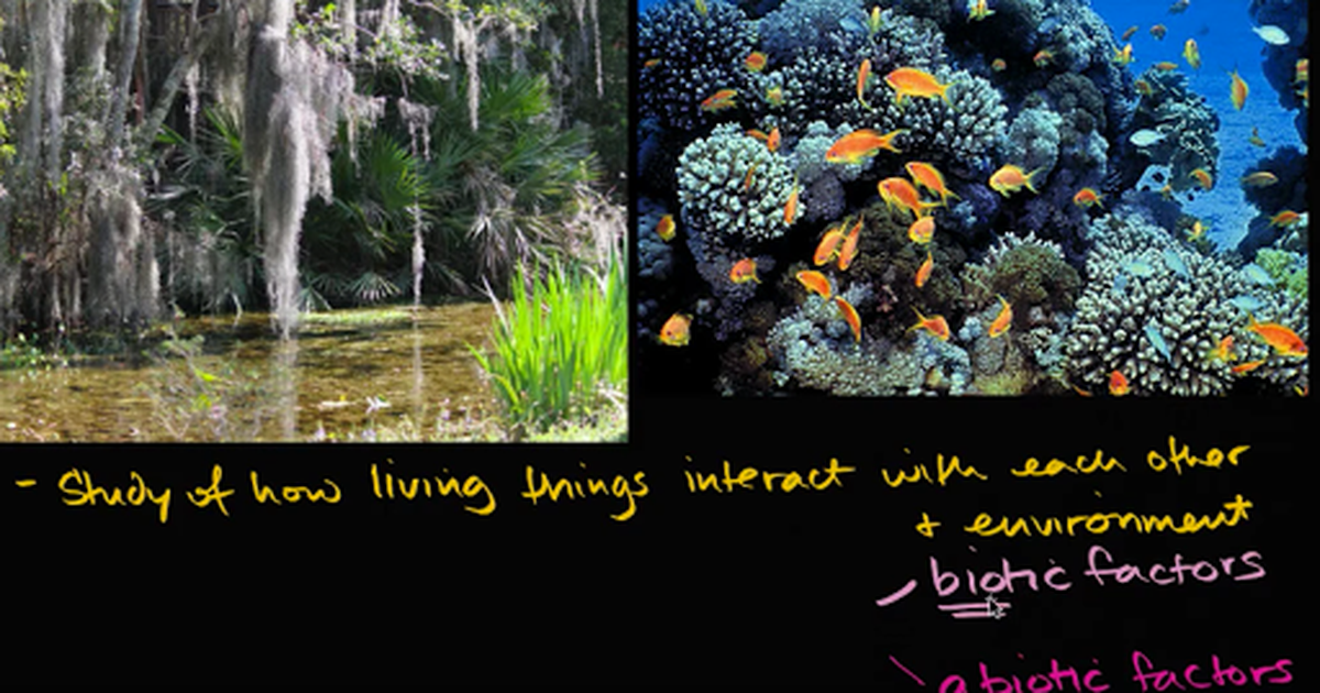 Ecology Introduction