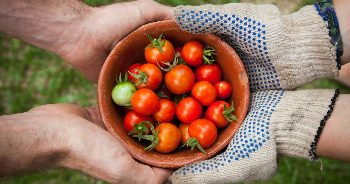 Food and Climate Change