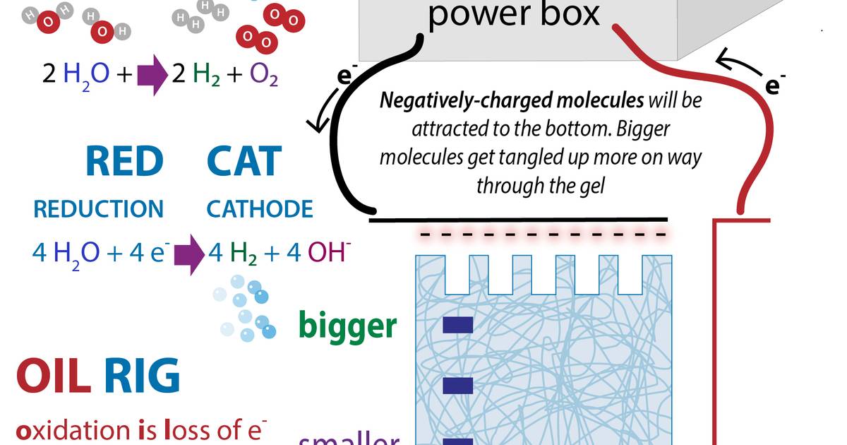 Infographic: Electrolytic Cells in Electrophoresis