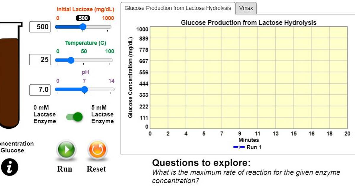 Lactase Enzyme Simulation with Data Analysis