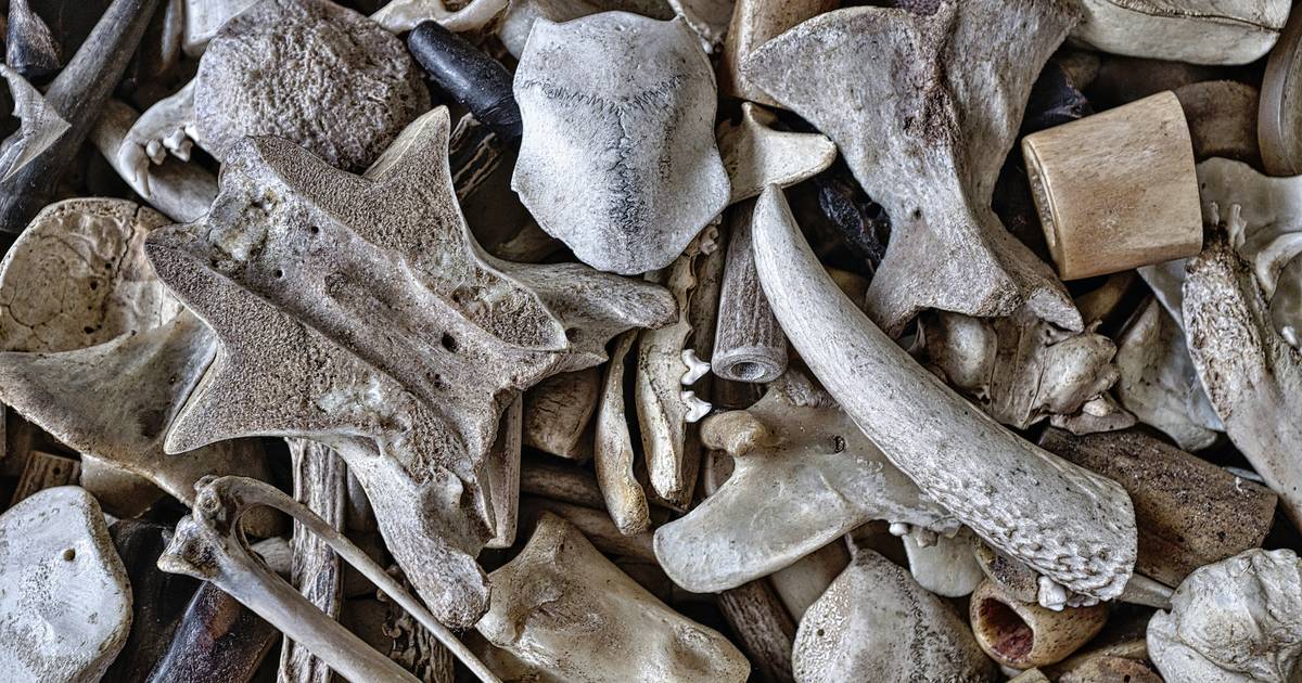 What Happened at Cleveland-Lloyd Dinosaur Quarry?