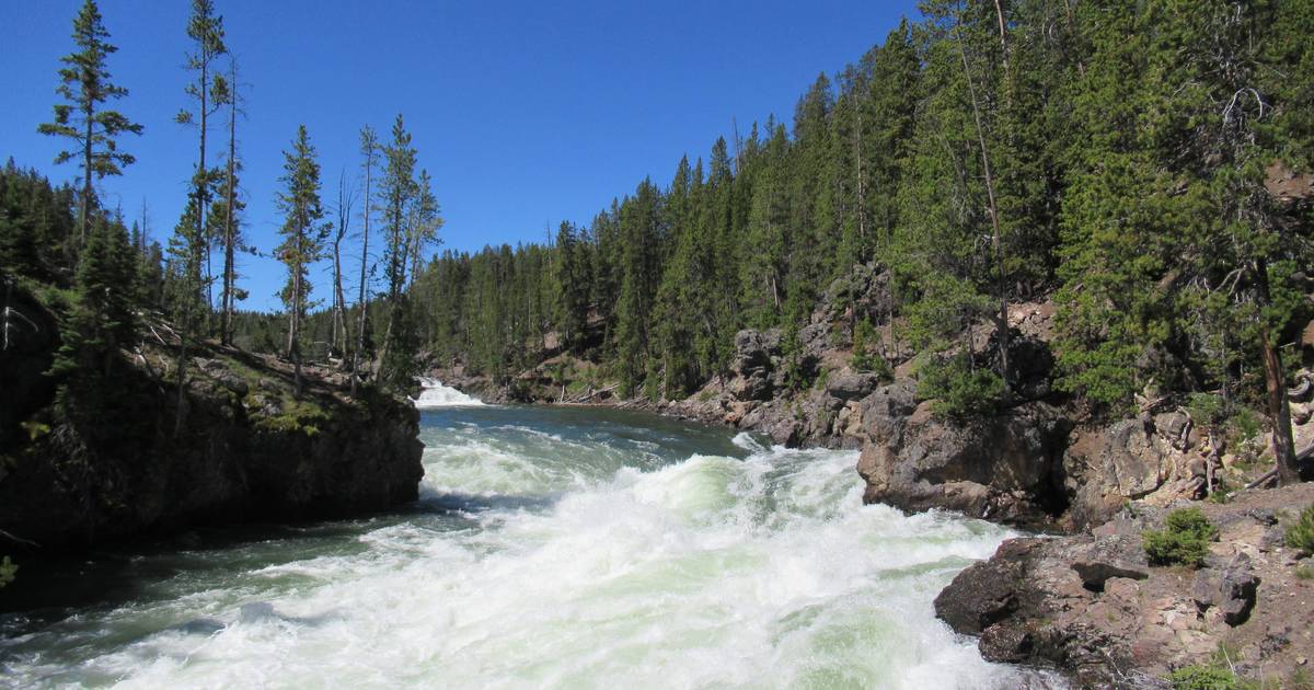 Snowmelt Runoff and the Water Cycle