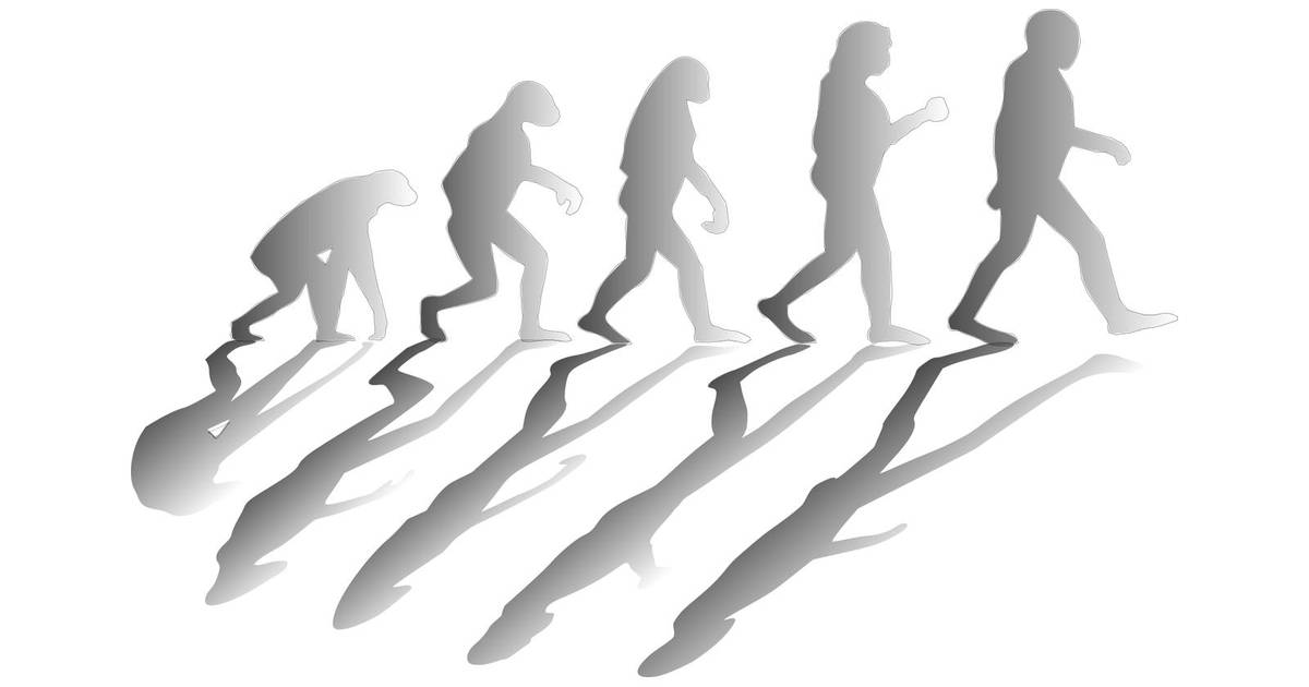 Evolution of Neuroplastin-65