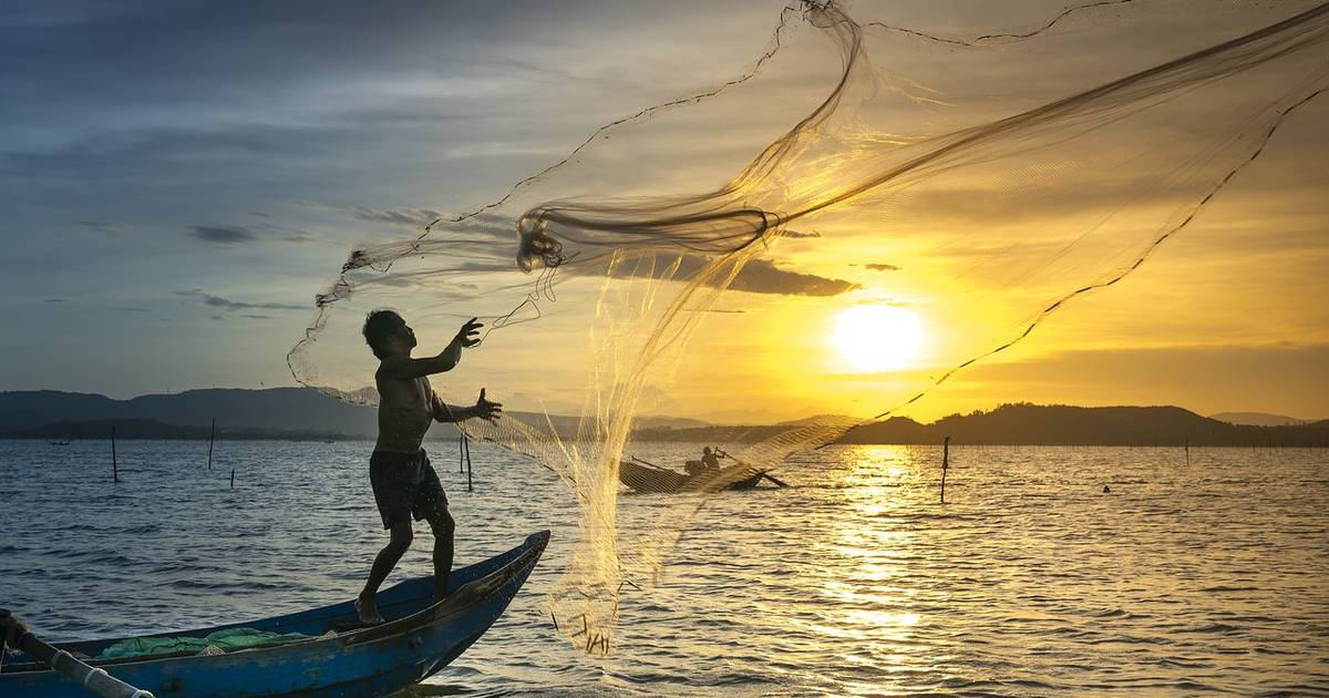 Healthy Oceans: Sustainable Seafood | Math and Computational Challenges