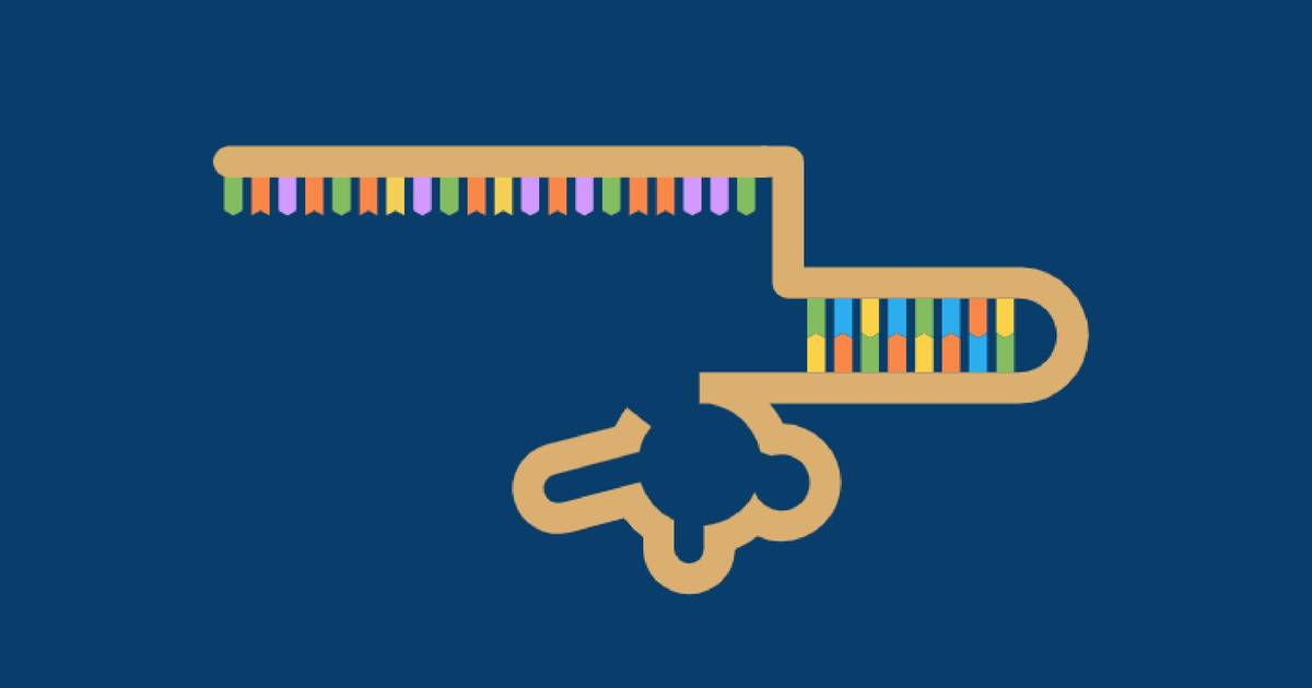 Mechanism: CRISPR-Cas9 Cleaves DNA