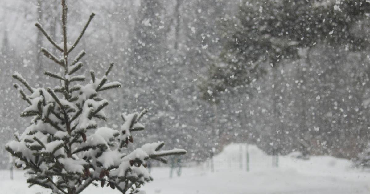 Create a Snowstorm