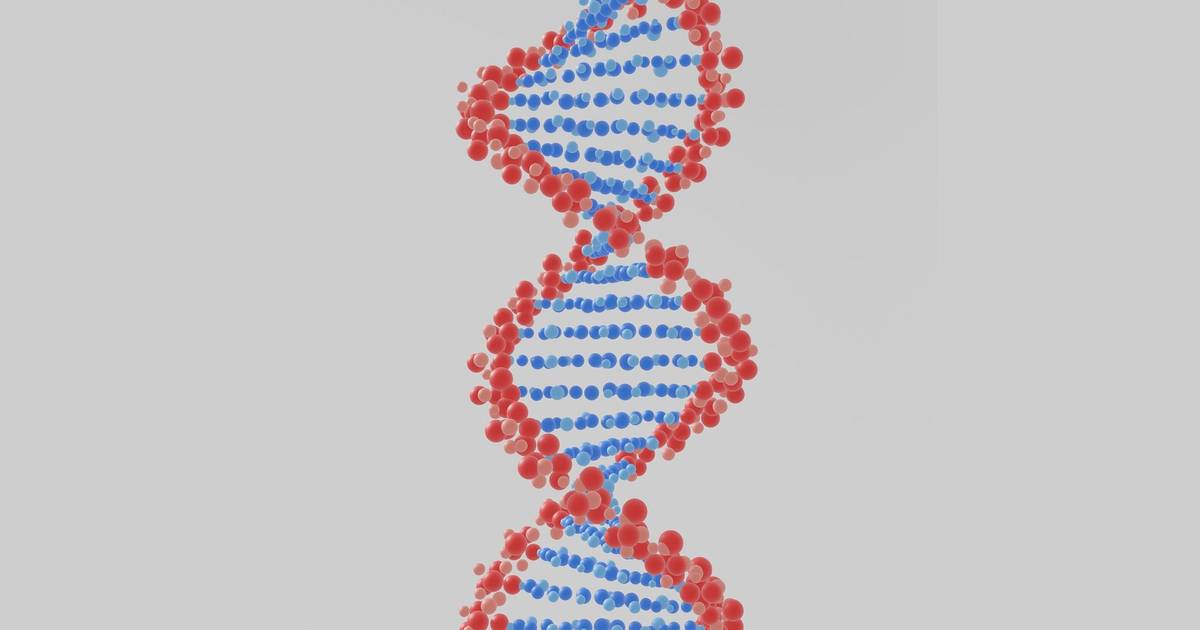 Ribonucleic Acid (RNA)