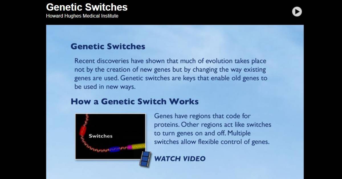 Genetic Switches