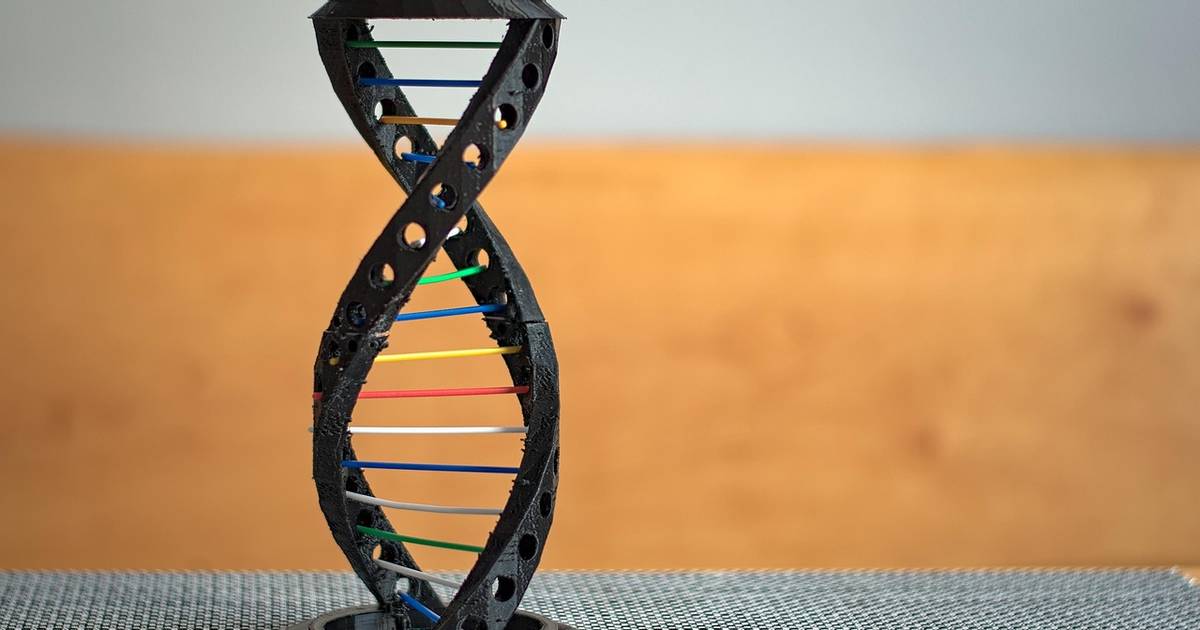 Prokaryotic Gene Regulation