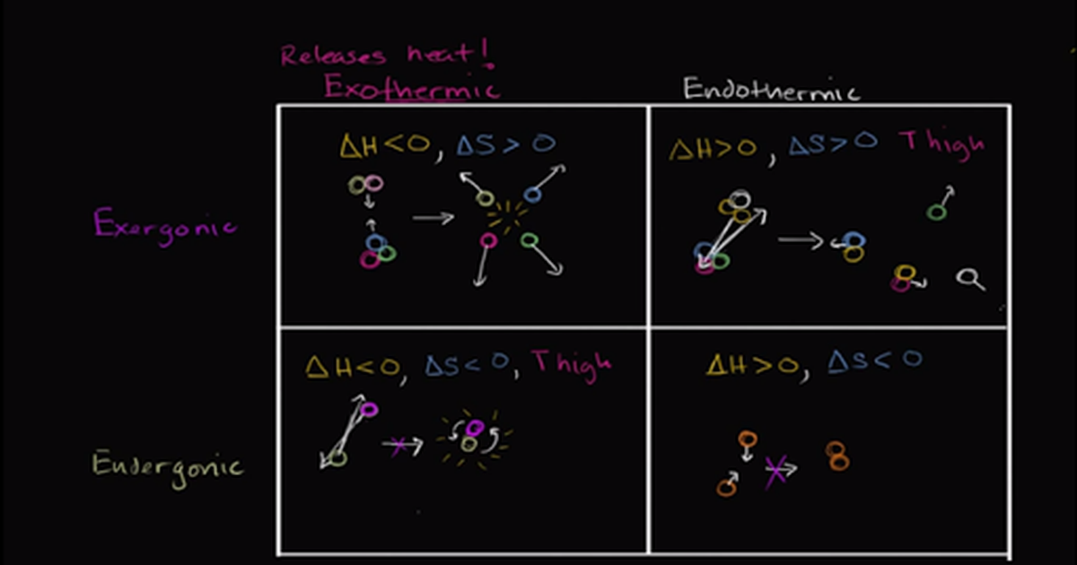 Endergonic, Exergonic, Exothermic, and Endothermic