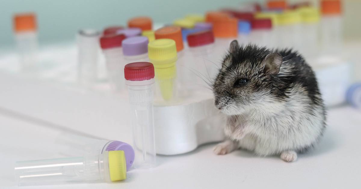 Medical Research, Patient Diversity, and Treatment Success