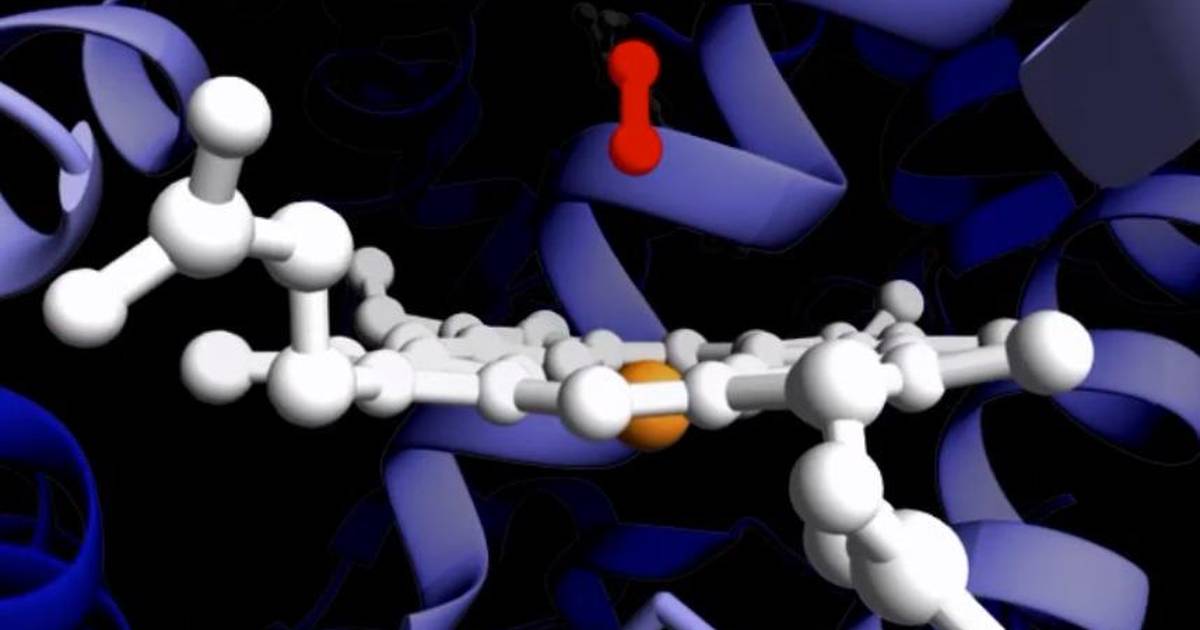 Hemoglobin: Conformational Changes Upon Oxygen Binding in Several Representations